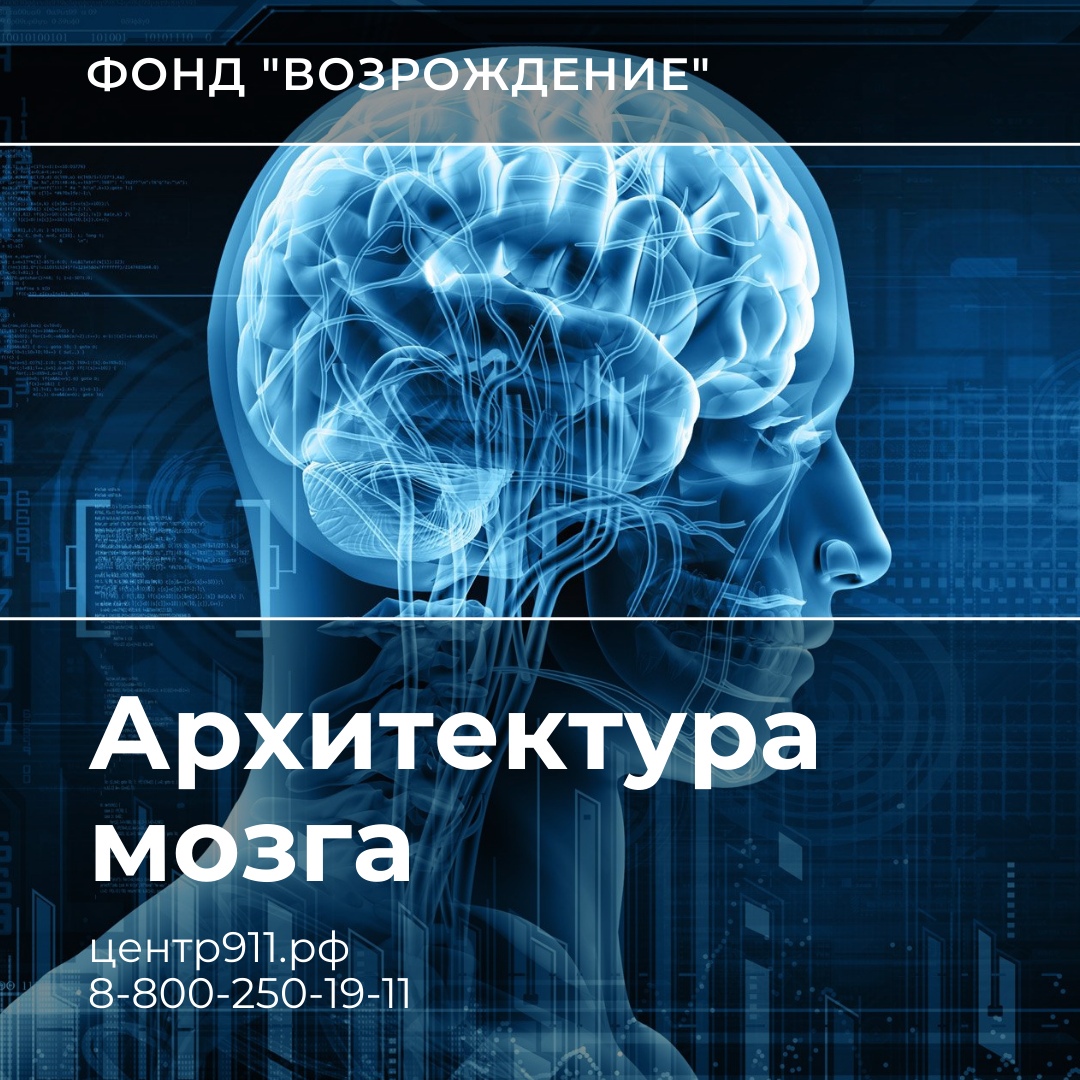 Мозг терапия инструкция. Архитектура мозга. Мозг терапи. Мозг терапии цена.